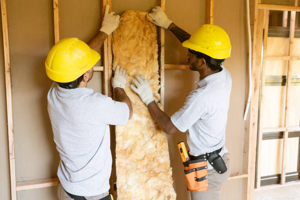 Best Commercial Insulation Services  in Washington Park, IL